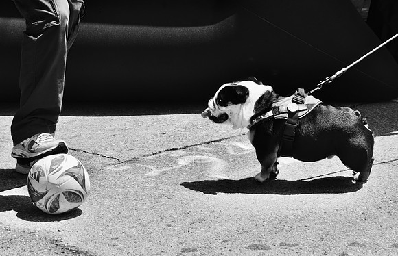 DSC_0166