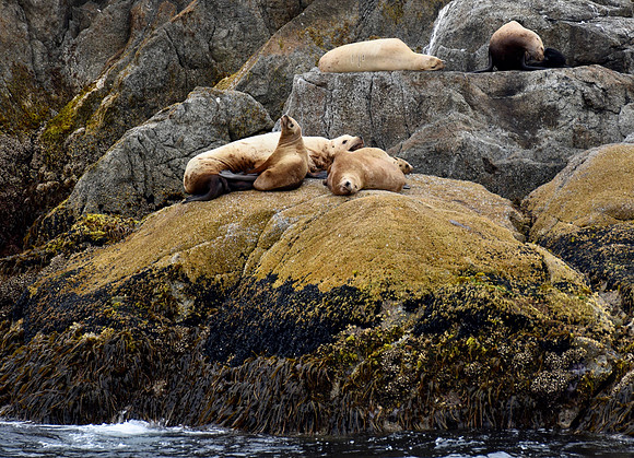 DSC_0416