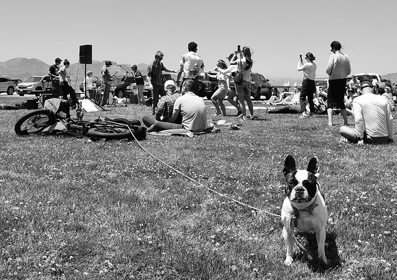 DSC_0007