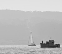 DSC_0231 (1)