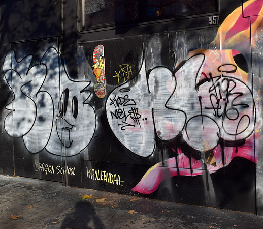 DSC_0003