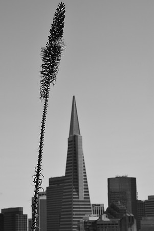 DSC_0025