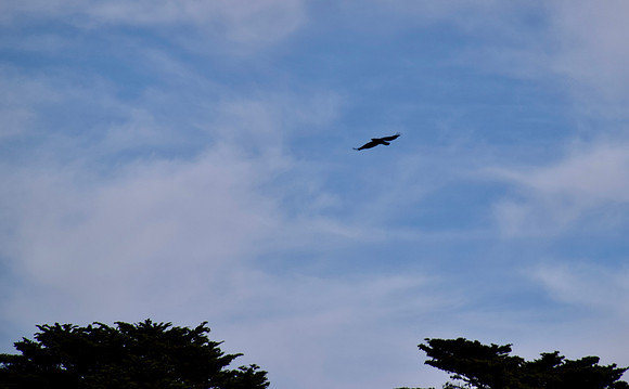 DSC_0018