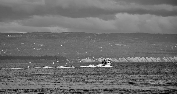 DSC_0775