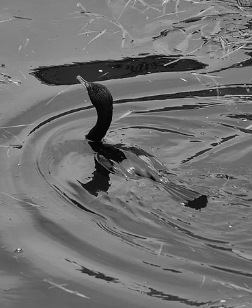 DSC_0157