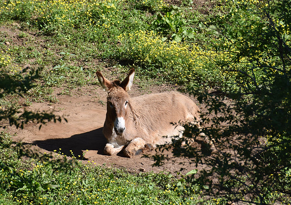 DSC_0073