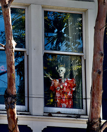 DSC_0044