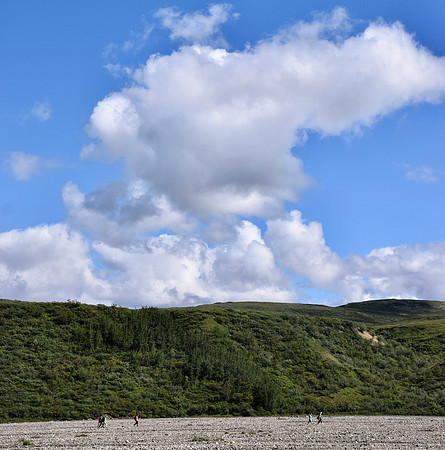 DSC_0315