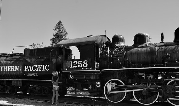 DSC_0018