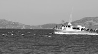 DSC_0159 (1)