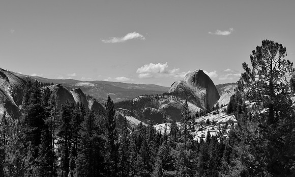 DSC_0023