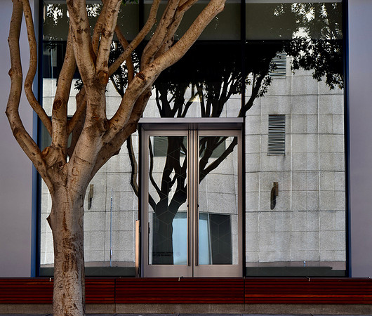 DSC_0031