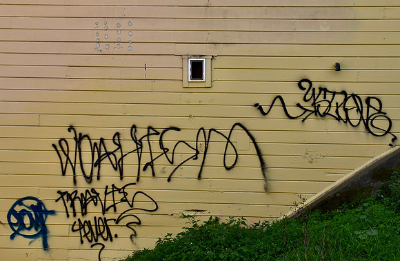 DSC_0053