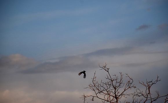DSC_0477