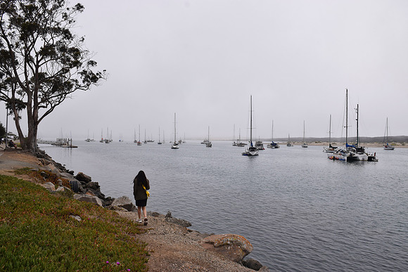 DSC_0180