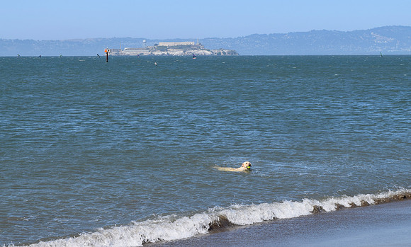 DSC_0061