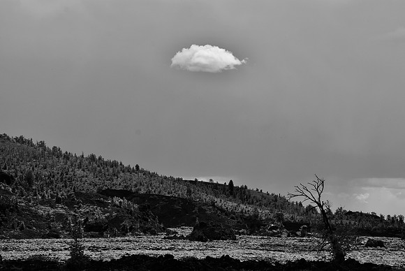 DSC_0134